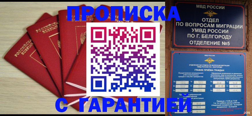 миграционный учет в Оленегорске